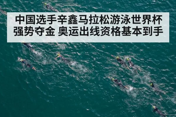 中国选手辛鑫马拉松游泳世界杯强势夺金 奥运出线资格基本到手